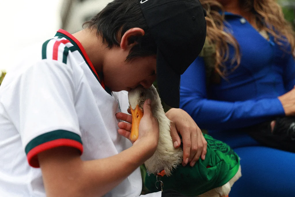 How this street duck became Mexico’s unofficial World Cup mascot | DeviceDaily.com How this street duck became Mexico’s unofficial World Cup mascot | DeviceDaily.com