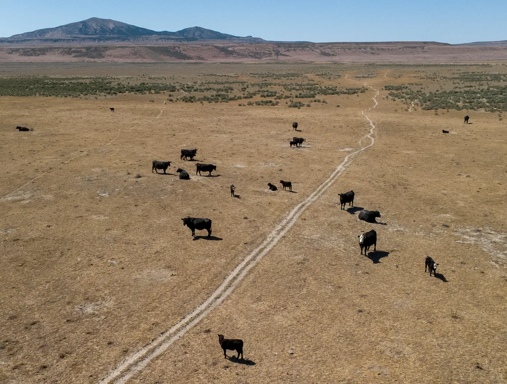 Kevin O’Leary believes his 10,000-acre data center can be ‘beautiful’ | DeviceDaily.com