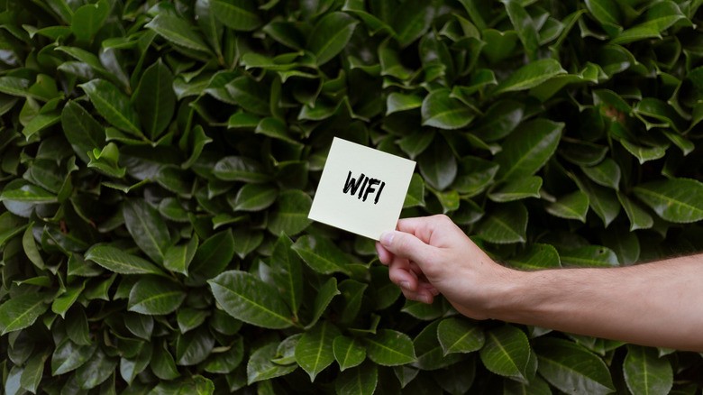 Router brands could be misleading you with that Wi-Fi 7 label | DeviceDaily.com