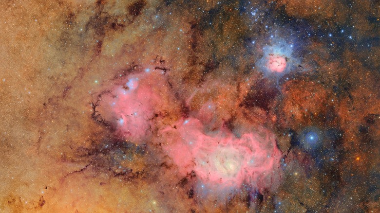 A 10-year sky survey begins filming a 'cosmic movie,' cyborg cockroaches go for a dive and more science stories | DeviceDaily.com A 10-year sky survey begins filming a 'cosmic movie,' cyborg cockroaches go for a dive and more science stories | DeviceDaily.com