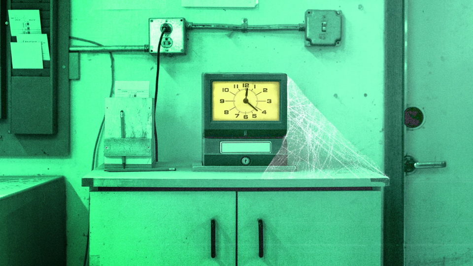 I’ve never had a real job. Here’s how I’m running a company anyway | DeviceDaily.com