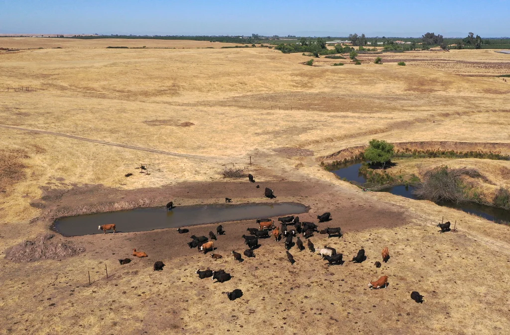 This fast-growing field is helping scientists pinpoint climate change’s impact on weather events | DeviceDaily.com