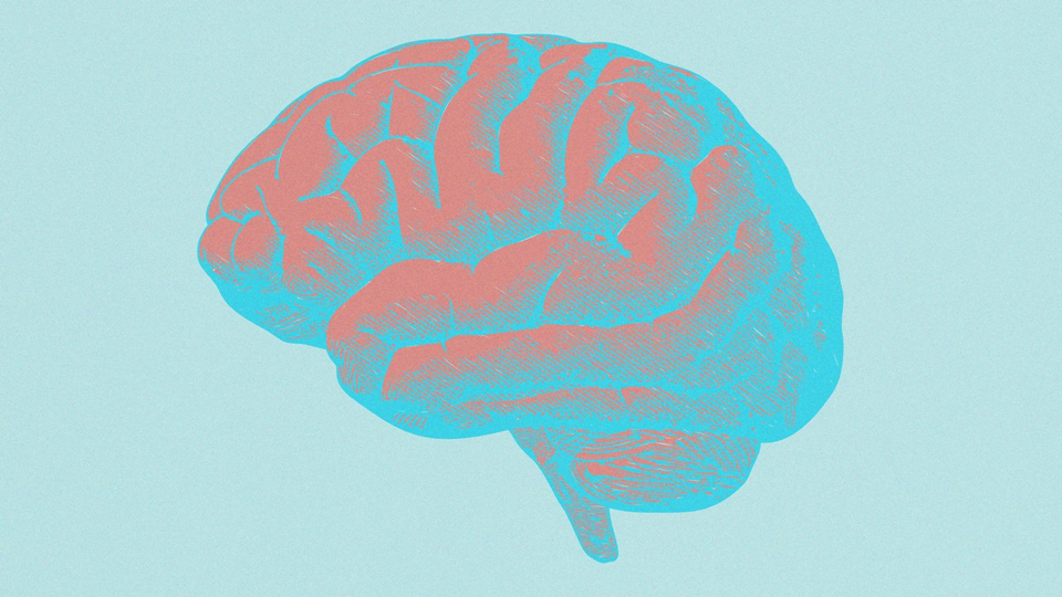 Do this for 5 to 10 minutes a day to improve your brain at any age, new research shows | DeviceDaily.com