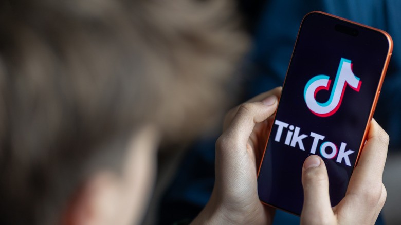 EU says TikTok hasn't done enough to ensure minors' safety | DeviceDaily.com
